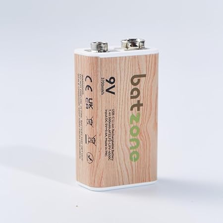 Batzone リチウムイオン充電池 9V(1本入り) タイプCケーブル付