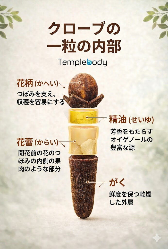 Clove - 【Ambika】クローブホール 50g Clove Whole 50g