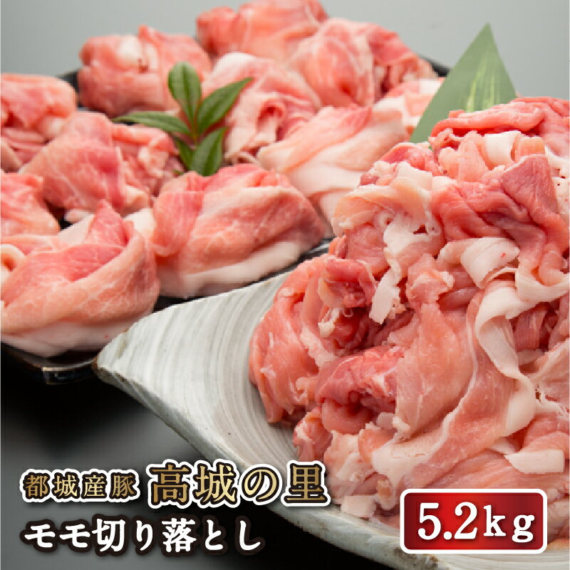 【送料無料】都城産豚 高城の里 切り落とし 5.2kg　豚肉 宮崎県産 国産 大人数 しゃぶしゃぶ すき焼き 豚小間 豚こま切れ ブランド豚 ブランドポーク 冷凍 宮崎 ギフト 贈答 お祝い 内祝い 就職 誕生日 お取り寄せ 忘年会