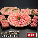 【送料無料】都城産豚 高城の里 しゃぶしゃぶ 5kg セット 豚肉 宮崎県産 国産 大人数 しゃぶしゃぶ すき焼き 薄切り うす切り 豚しゃぶ ブランド豚 ブランドポーク 冷凍 宮崎 ギフト 贈答 お祝い 内祝い 就職 誕生日 お取り寄せ 忘年会