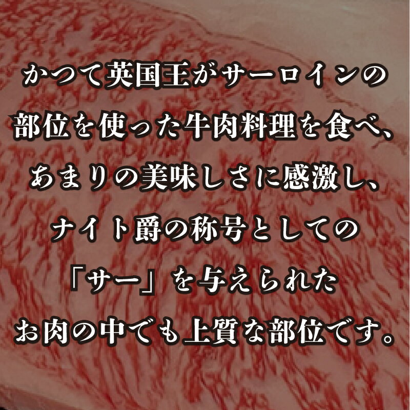 【送料無料】宮崎牛 サーロインステーキ200g（200g×1枚） 送料無料 牛肉 4等級 ステーキ 和牛 国産和牛 バーベキュー高級 バーベキュー BBQ ステーキ用 冷凍 ギフト 贈答 お祝い 就職祝い 誕生日祝い 内祝い お取り寄せ お歳暮 忘年会 3