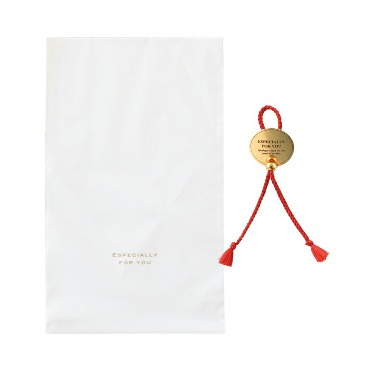 ギフト用 梨地バッグ&ワンタッチタイセット(ホワイト×レッド)