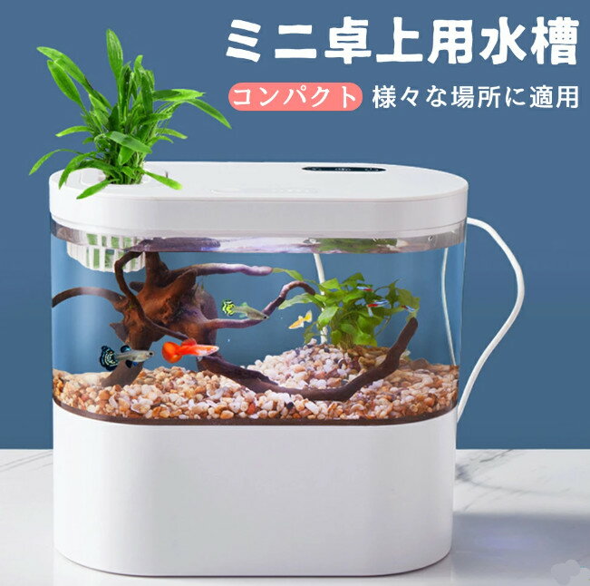 LEDライトフィルターポンプ付き水槽セットアクアリウム コードレス 水族館 オーナメント 自由研究 LED照明 水槽 セット卓上 玄関 リビング LEDランプ 水槽セット おしゃれ かわいい オブジェガラス