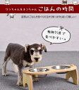 新春sale/ペット 食器 フードボウル ダブル 餌入れ 犬 猫 エサ入れ 送料無料 訳あり