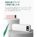 歯ブラシ 除菌 乾燥 歯ブラシ除菌器 UV除菌 空気循環 壁掛け式 カビ防止 歯ブラシ立て 歯ブラシ収納ホルダー 歯ブラシスタンド UVC 除菌器 静音 UBS...