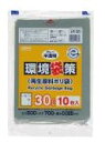 【15の日当店ポイント5倍】 LR30 ゴミ袋 30l 30リットル 半透明 0.025mm厚 500x700 送料無料 10枚x30冊 300枚 x 2箱 600枚 LD 再生 40% ごみ袋 ポリ袋 30 ジャパックス アイエスショップ