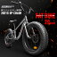 ̵֡Ϥο եåȥХ 20礦ɤ Wǥ֥졼 3DΩΥե졼 ޥ7® 20x4.0 FATBIKE ӡ롼  ž EIZER  F120 꿧åפ򸫤