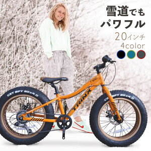 【送料無料】迫力の極太ファットバイクWディスクブレーキ軽量アルミフレームShimno7Speed20インチ20x4.0FATBIKE SNOWBIKETRINX T100アルミCNCディンプル加工 カラーバリエーション ビーチクルーザー