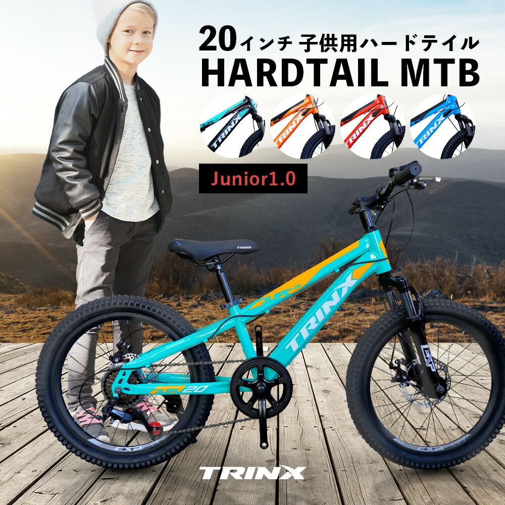 【送料無料】【子ども用自転車】20インチ 本格派マウンテンバイクダブルディスクサスペンション6段 変速小さくても本格派20インチハードテール街中・林道、山道JUNIOR1.0 プレゼント 誕生日 入学祝い 卒業祝い 男の子