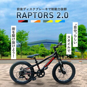 ̵ۡڻҤɤѼž֡20 ܳɥޥƥХ ֥ǥ ڥ󥷥 Ƥܳ 20ϡɥơ 桦ƻƻ RAPTORS2.0 ꥹޥ ץ쥼  ؽˤ ˤλ