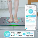 【体組成計モデル】 issin スマートバスマット 珪藻土バスマット バスマット ソフト珪藻土マット iphone 連動 wi-fi お風呂マット スマホ アプ...