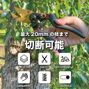 【楽天ランキング6冠達成】剪定ばさみ 枝切ばさみ 剪定鋏 【造園のプロ監修】 植木ばさみ 園芸用品 フッ素コーティング 錆びにくい 剪定バサミ 植木バサミ 植木...