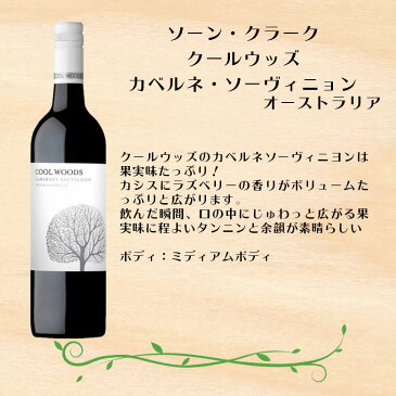 【4月27日限定・全商品対象5%オフクーポン配布中!】ワインセット カベルネS&シャルドネ飲み比べ×サヴァ缶5種詰め合わせセット 本州送料無料 四国は+200円、九州・北海道は+500円、沖縄は+3000円ご注文時に加算 ギフト 父親 誕生日 母の日 プレゼント