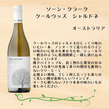 【4月27日限定・全商品対象5%オフクーポン配布中!】ワインセット カベルネS&シャルドネ飲み比べ×サヴァ缶5種詰め合わせセット 本州送料無料 四国は+200円、九州・北海道は+500円、沖縄は+3000円ご注文時に加算 ギフト 父親 誕生日 母の日 プレゼント