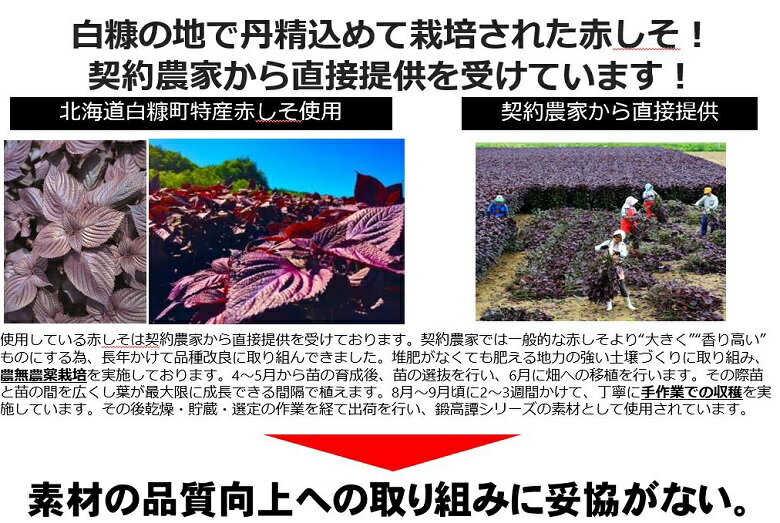 逸酒創伝　楽天市場店の20度 甲乙混和 合同酒精 鍛高譚（たんたかたん) しそ 1800ml 1.8L｜アングル3