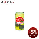 梅酒 チョーヤ プラQ 160ml × 2ケース / 60本 CHOYA チョーヤ梅酒 リキュール 本格梅酒