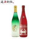 日本酒 純米吟醸 クリスマスセット 越乃梅里・塩川 2本飲み比べ 720ml 塩川酒造 DHC酒造