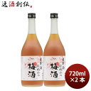 【5/5は逸酒創伝の日!最大200円OFFクーポン配布中♪】梅酒 果実酒 日本酒仕込みの梅酒 720ml 2本 鶴見酒造 ギフト 贈り物