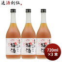 【5/5は逸酒創伝の日!最大200円OFFクーポン配布中♪】梅酒 果実酒 日本酒仕込みの梅酒 720ml 3本 鶴見酒造 ギフト 贈り物