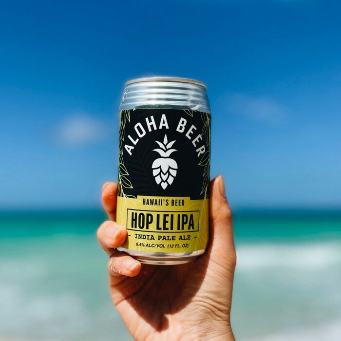 �ӡ��� �����ϥӡ��� 3�� 12�ܰ�����٥��å� 355ml �����ϥ֥���� �ۥåץ쥤IPA �ϥ��������ɥ꡼�� �ϥ磻 ͢�� ���� ������ ���ؽˤ� ´�Ƚˤ� �����ˤ� �ʳؽˤ�