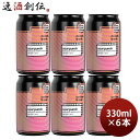 ビール カーボンブリュース サワーパンチ 330ml 缶 6本 carbon brews ヘ?ルリナーウ?ァイセ 香港 クラフトビール