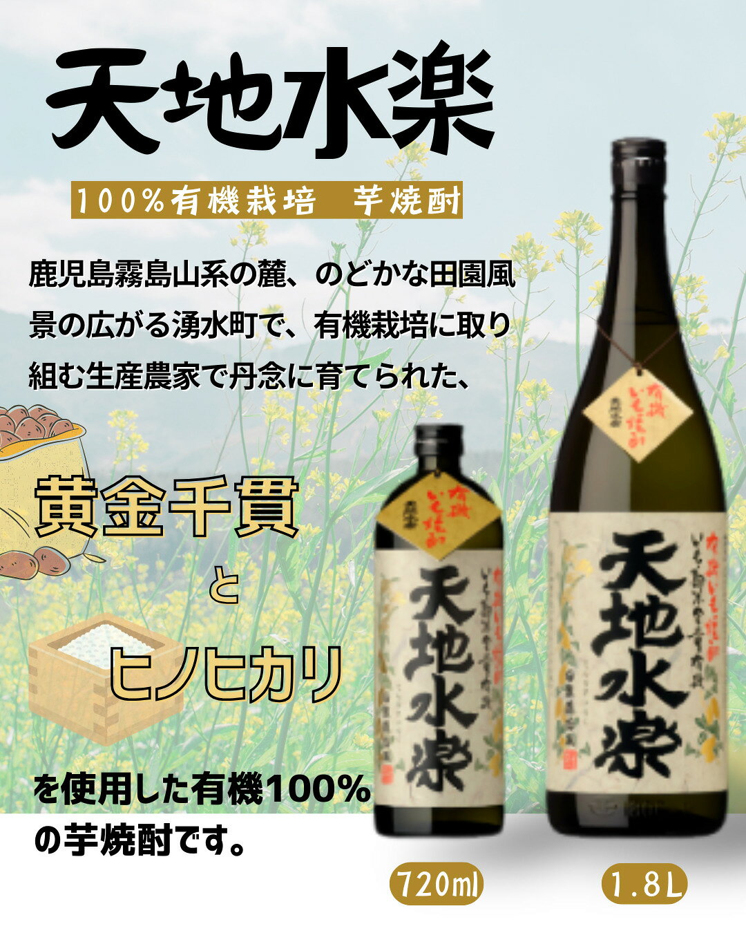 6本単位まとめ買いで送料無料※一部地域を除く 焼酎 芋焼酎 小正醸造のし ギフト包装可