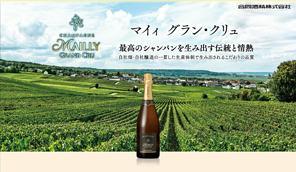 グランクリュ マイィ ブリュット レゼルバ 箱付き 750ml × 1本 フランス シャンパン スパークリング 発泡性 辛口 辛口ワイン 果実酒 フランスワイン ボックス付き お酒 父の日 お中元 夏ギフト 暑中見舞い issyusouden-10023354 逸酒創伝 楽天市場店 サンプル画像2