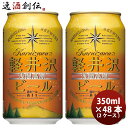 【5月1日は逸酒創伝の日！クーポン利用で5,000円以上のお買い物が全て5％オフ！】長野県 THE軽井沢ビール アルト(赤ビール) 缶350ml クラフトビール 48本(2ケース) 本州送料無料 四国は+200円、九州・北海道は+500円、沖縄は+3000円ご注文時に加算 お酒