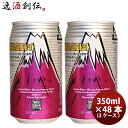 父の日 ビール ビール 御殿場高原ビール 静岡県 クラフトビール シュバルツ 缶 350ml 48本(2ケース)セット お酒