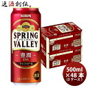 【5月1日は逸酒創伝の日！クーポン利用で5,000円以上のお買い物が全て5％オフ！】キリン SPRING VALLEY 豊潤 496 スプリングバレー 500ml 48本 2ケース クラフトビール 本州送料無料 四国は+200円、九州・北海道は+500円、沖縄は+3000円ご注文時に加算 お酒