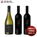 【5/9 20:00～ エントリーでポイント7倍！お買い物マラソン期間中限定】ワイン飲み比べセット チリ カイケンウルトラ 3種飲み比べセット 750ml 3本セット