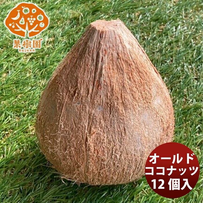 松孝 オールドココナッツ 9個入 新発売果樹園 フレッシュフルーツ 輸入 ココナッツ 果肉 アレンジ 完熟 のし・ギフト・サンプル各種対応不可