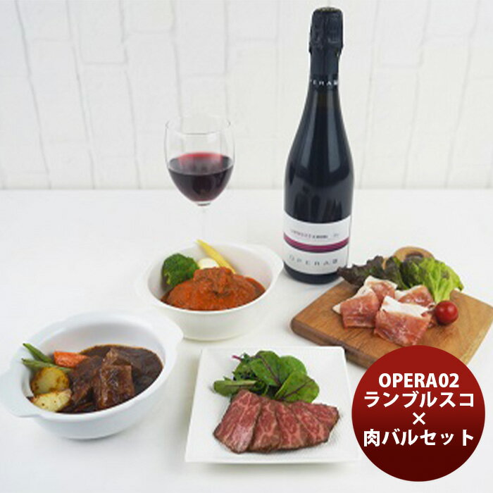 山晃食品 デリシャエール OPERA02ランブルスコ×肉バルセット 父の日 のし・ギフト対応不可