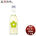 BENICIDER ベニサイダー 250ml 1本べしさし梅 香料 酸味料 不使用 ナチュラルテイスト 人気 微炭酸