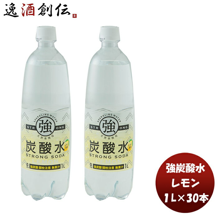 友桝 強炭酸水レモン 1L PET 1L × 2ケース / 30本 本州送料無料 四国は+200円、九州・北海道は+500円、沖縄は+3000円ご注文時に加算炭酸水 檸檬 人気 刺激 割り材 飲料 無添加 料理 健康 美容 アレンジ