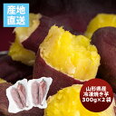 【5月15日は逸酒創伝の日!最大200円OFFクーポン配布中!】山形県産 冷凍焼き芋 2袋入り 300g×2 のし・ギフト対応不可