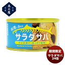 木の屋 サラダサバ(あっさり塩味) 170G 24缶 のし・ギフト対応不可