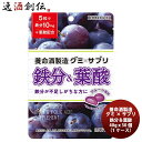 養命酒製造 グミ×サプリ 鉄分＆葉酸 40g x 30個(1ケース） 新発売