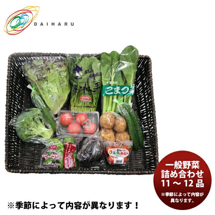 父の日 大田市場直送 一般野菜詰め合わせ 11～12品 季節