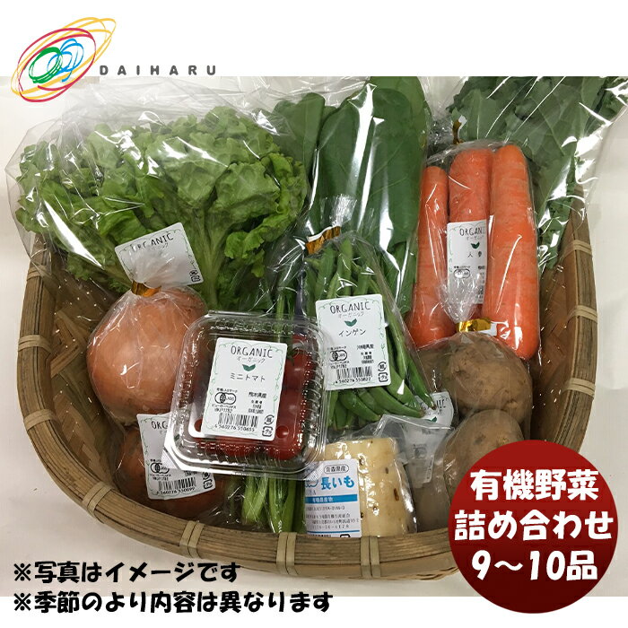 大田市場直送 有機野菜詰め合わせ 9～10品 季節野菜 大治 新発売 ギフト 父親 誕生日 プレゼント ギフ..