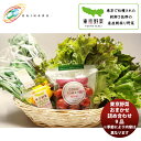 大治 東京野菜おまかせ産直 9品セット 大田市場直送 こだわり 厳選 野菜セット 新鮮 のし・ギフト対応不可