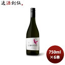 赤ワイン チリ リベルタス ピノノワール 750ml 6本 お酒 お酒 のし・ギフト対応不可