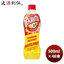 炭酸飲料 デカビタパワー サントリー 500ml 2ケース/48本 デカビタC 本州送料無料 ギフト包装 のし各種対応不可