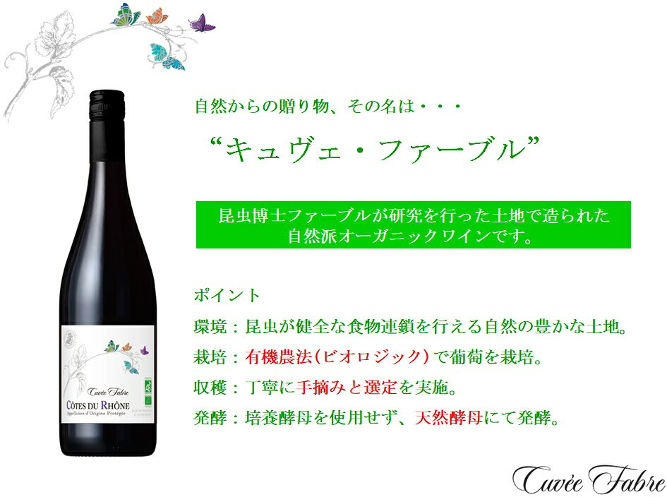 赤ワイン オーガニックワイン モメサン コート・デュ・ローヌ キュヴェ エファープル 750ml 1本 お酒 父の日 お中元 夏ギフト 暑中見舞い issyusouden-10013687 逸酒創伝 楽天市場店 サンプル画像2