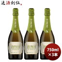【7/15は逸酒創伝の日!最大200円OFFクーポン配布中!】スパークリングワイン サントリー タヴェルネッロ オルガニコ スプマンテ 750ml 3本 お酒 のし・ギフト対応不可