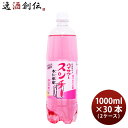 博水社 ハイサワー スンチー杏仁檸檬(あんにんれもん) ペット 1L × 2ケース / 30本 1000ml 割り材