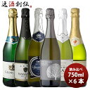 辛口 ワインセット 飲み比べ 激安！！カヴァ入り！ お買い得スパークリングワイン6本セット 750ml × 6本 1セット 期間限定 本州送料無料 四国は+200円、九州・北海道は+500円、沖縄は+3000円ご注文時に加算