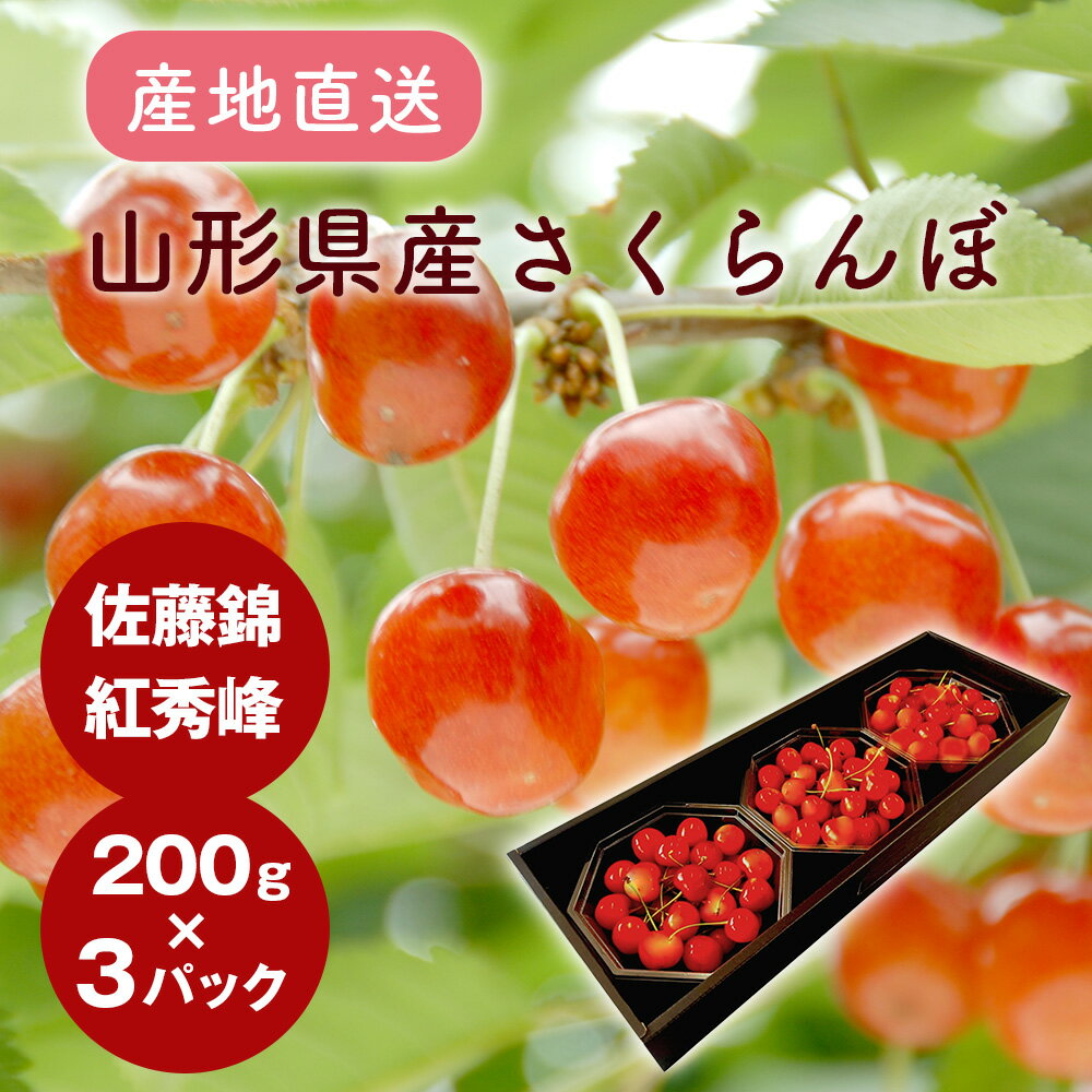 産地直送さくらんぼD 佐藤錦 約200g × 3パック 山形県産 父の日 ギフト