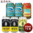 父の日 ビール ビール ハワイ コナビール アロハビール 缶 5種 6本 飲み比べセット 355ml ビッグウェーブ ロングボード アロハブロンド お酒