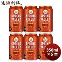 キリン SPRING VALLEY スプリングバレー 豊潤 496 350ml ×6本セット